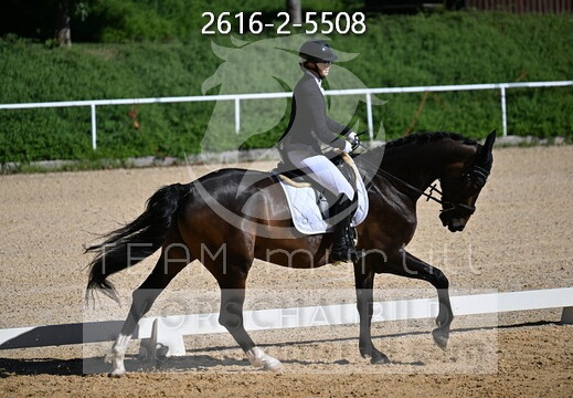 05.29-31 Stadl-Paura CDN-A*